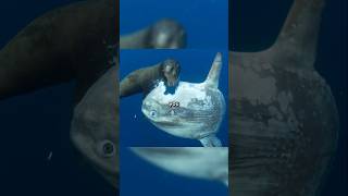 Rare Photos You've Never Seen Before [Part 376]