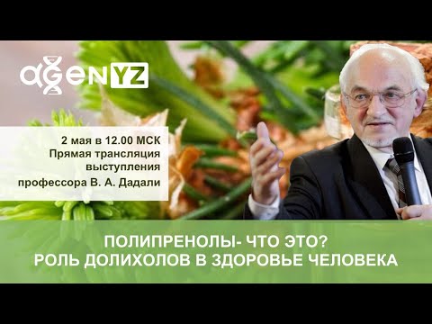 Видео: Сладник, или женско биле: ползите и вредите от сладкия корен