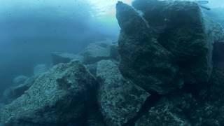 360° Gozo Underwater: Blue Hole to Azure Alps