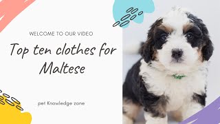 Top ten clothes for Maltese |  The 10 Best Clothes for Your Furry Friend | Pet Knowledge Zone #dogs by Pet Knowledge Zone 6 views 1 year ago 3 minutes, 54 seconds