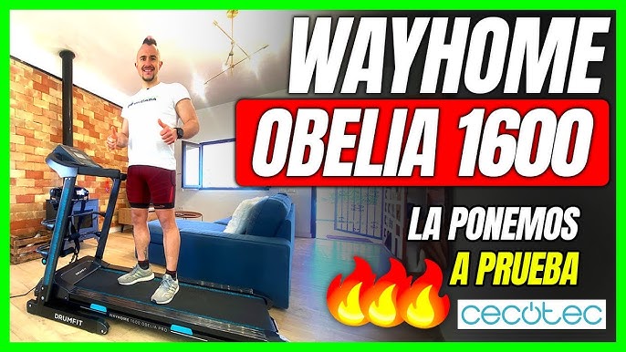 DrumFit WayHome 1600 Obelia Ultraflex Cinta de correr Cecotec