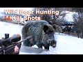 Wild boar hunting shots compilation  compilation de tir au sanglier 2022