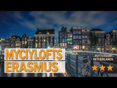 myciylofts erasmus hotel review hotels in rotterdam netherlands hotels