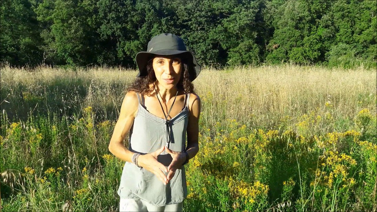 My first video in english