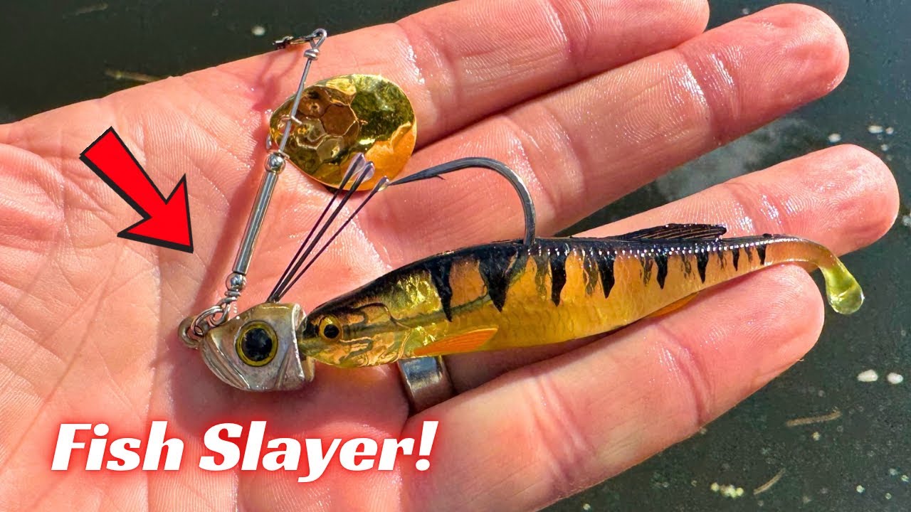 apex trout lures Apex Tackle AP-6TRT Trout Gamefish Spoon Kit Fishing Lures