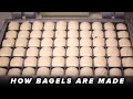 How Bagels Are Made • Tasty