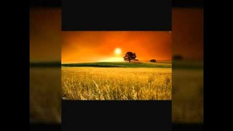 سورة البقرة للقارئ الشيخ"محمد بن عبدالله الحربي"