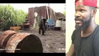 Monkey Shoots AK47