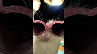 Did Somebody Say Slay?