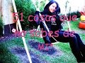 51 cosas sobre mi