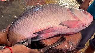Incredible Cutting Skills | Giant Katla Fish Cutting By Expert Fish Cutter