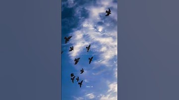 طه مَآ أَنَزَلْنَا عَلَيْكَ الْقُرْآنَ لِتَشْقَى - القارئ أحمد خضر 🌿💚