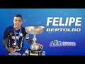 Felipe bertoldo  midfielder  2016