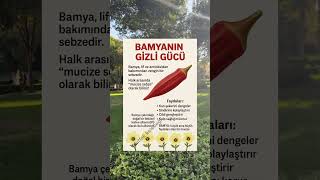 Aklınızda Bulunsun