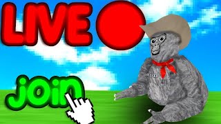 LIVE! Gorilla Tag UPDATE! Playing with You! (GORILLA TAG)