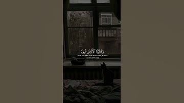تلاوة مباركة خاشعة بصوت يلامس القلوب #اكسبلور #دويتو #حالات_واتس #القران #تيك_توك #خطبه #لايك #ترند