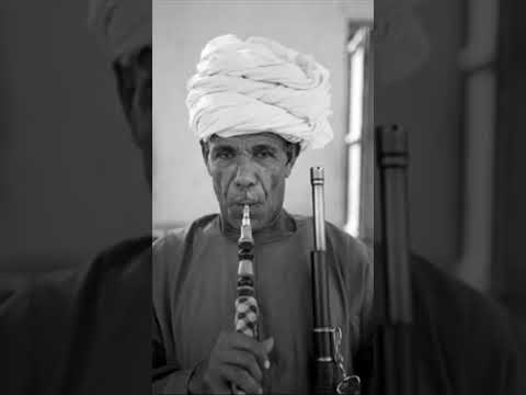 عميد الموال عبده الاسكندرانى تعيش راجل