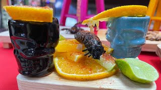 Еда не для Слабонервных) Скорпионы Кузнечики Мадагаскарский Таракан Гусеницы @KateMandrygina Mexico