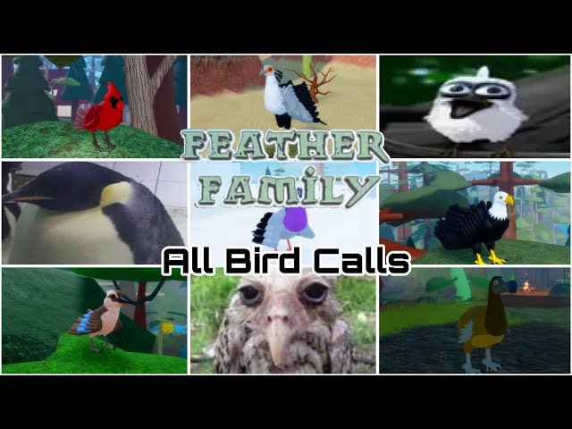 😱🤑🤑 ALL BIRD CALLS IN FEATHER FAMILY AT 3 AM 🥶🥶(NOT CLICKBAIT) (POLICE CAME) 🔥🔥🔥‼️ class=