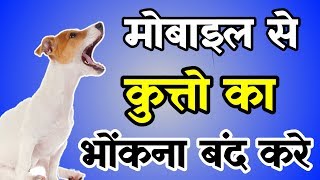 कुत्तो का भोंकना कैसे बंद करे | How To Stop Dog Barking screenshot 3