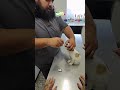 #AyWey | Pareja rescata a una cachorra tras presenciar su abandono en Tijuana y tiene el mejor final