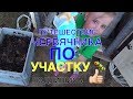 🐛092А 🐛 ПУТЕШЕСТВИЕ ЧЕРВЯЧНИКА ПО УЧАСТКУ 🐛