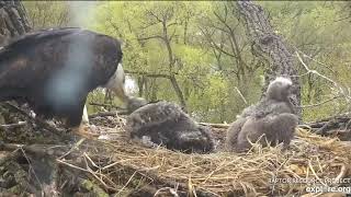 Decorah Eagles Early morning breakfast 05 06 2019