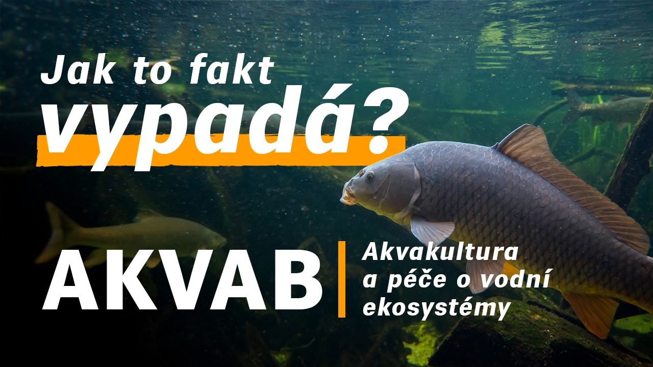 Akvakultura na ČZU — jak to fakt vypadá? | Studentky programu AKVAB