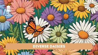 Diverse Daisies | Bedtime Story for Kids | @BFYKIDSTORIES