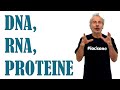 DNA, RNA e proteine - Pillole di Scienza - Aldo Baglio e Giovanni Storti