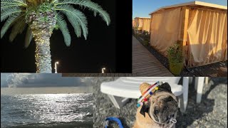 картинка: Море, солнце, Сочи!🌴🌞❤️