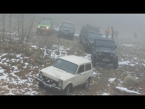 ფსიტიანი - ცივი 2 [09.01.2022]