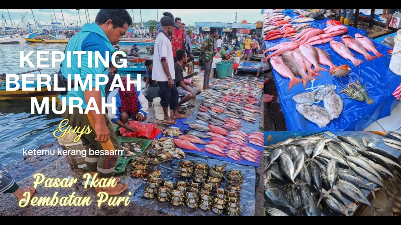 Kepiting Berlimpah. Ketemu Kerang Besar Banget. Update Pasar Ikan Jembatan Puri Sorong 