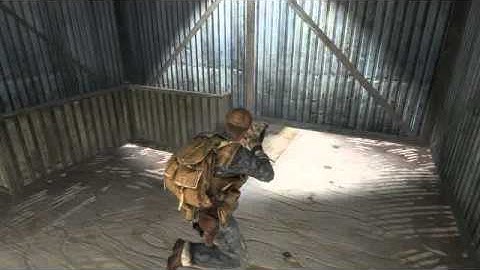 Call Of Duty Black Ops : WTF? RANDOM FLASHBANG KILL