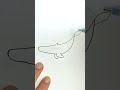 How To Draw Humpback Whale 
