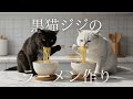 黒猫ジジが恋人のリリィとラーメンを作る🍜