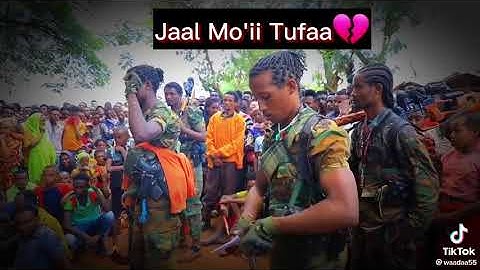 Gooticha Jaal Moo'ii Tufaa osoo lubbuun jiru💔💔