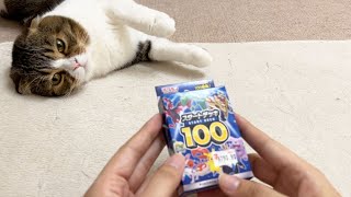 【ポケカ】ポケモンカードが買えて嬉しいおっさんと猫【スタートデッキ100】