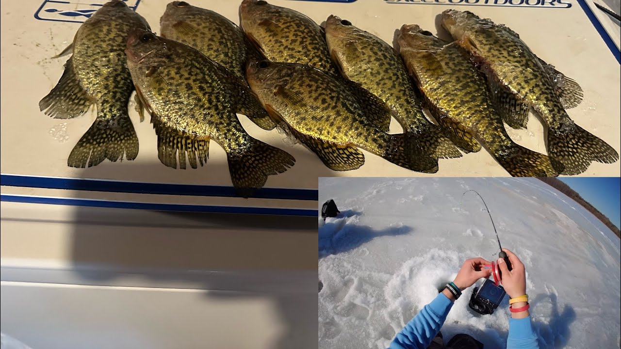 Lake Hopping the inner Twin city’s for crappie (The hunt for a Giant )