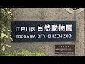 江戸川区自然動物園にいってみた の動画、YouTube動画。