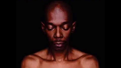 Faithless- Insomnia (Forever Faithless)