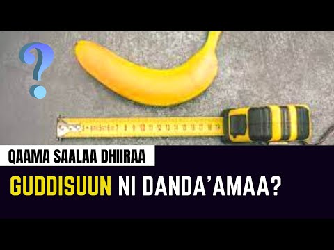 Walquunnamtii Saalaa 2021 Qaama Saalaa Dhiiraa Guddisuun Ni Danda Amaa Dr Daawwit