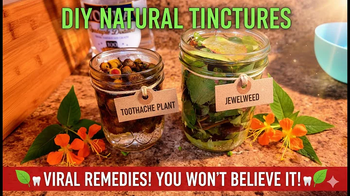 DIY Tinctures: From Kitchen to Medicine Cabinet