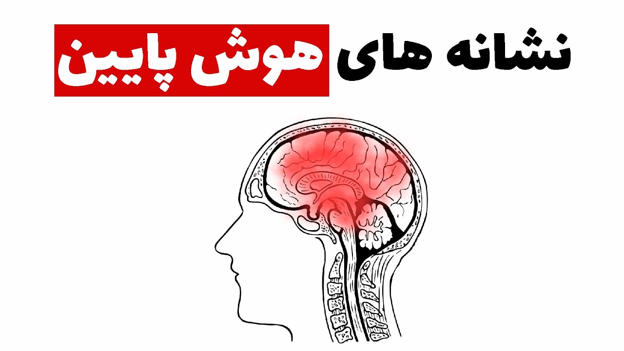 عادت های روزمره ای که  نشونه ی هوش پایین هستند
