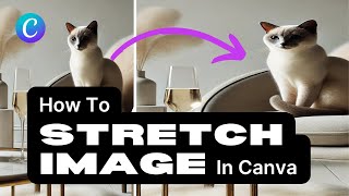 How To Stretch Image In Canva For Free (Without Canva Pro)
