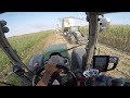 Fendt 716 Vario S4 + Crosetto 4 assi & Claas Jaguar 980 Type498 | Corn Silage | View From The Driver