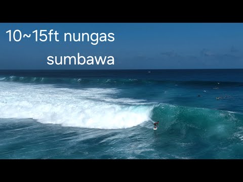 10~15ft Nungas sumbawa