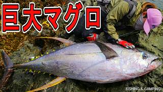 【女性初の快挙！！】女が超巨大なマグロと磯から壮絶な激闘を繰り広げた結果！！遂に長年の夢を叶えました【巨大マグロ！！】│釣り│fishing│fishingwoman│yellowfintuna