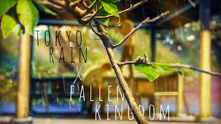 tokyo rain X fallen kingdom -Aesthetic otaku - Aesthetic Anime Clips | The Garden Of Words [ AMV ]