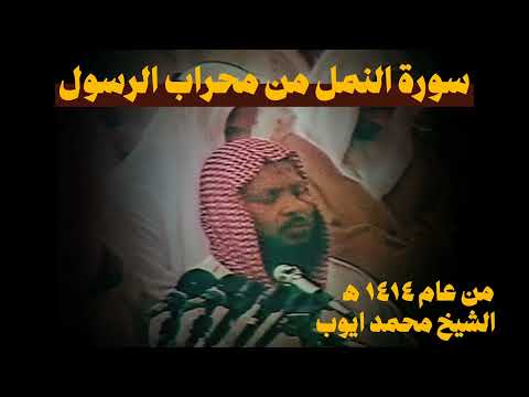 سورة النمل تلاوة أستثنائية الشيخ محمد ايوب